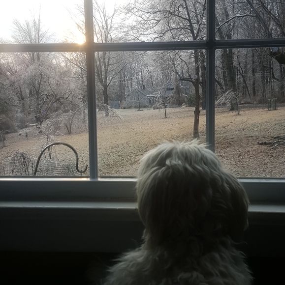 ❤Offers Welcome❤️ - Picture 7 of 11